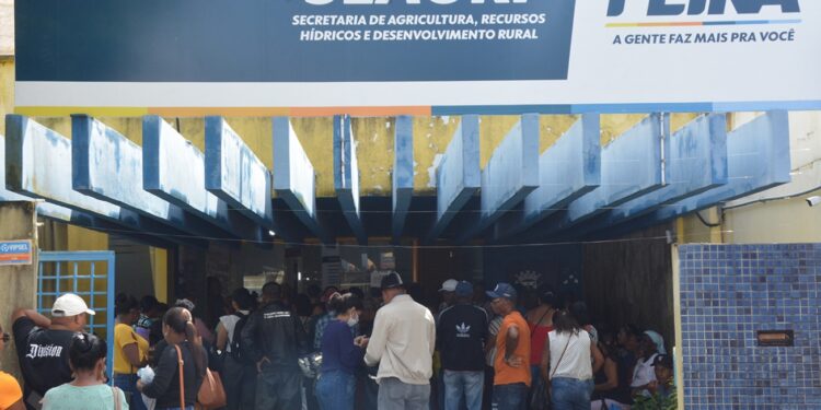 Seagri apresenta balanço positivo em 2025