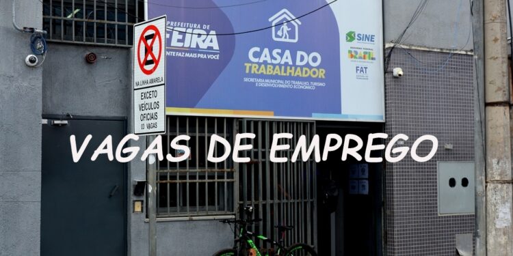 TEL Telemática lidera mutirão com 300 vagas e impulsiona oferta de empregos nesta quinta-feira (15)