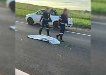 Mulher atropelada em rodovia é declarada morta pelo Samu, deixada na pista e reanimada minutos depois por socorrista