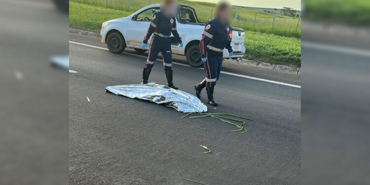 Mulher atropelada em rodovia é declarada morta pelo Samu, deixada na pista e reanimada minutos depois por socorrista