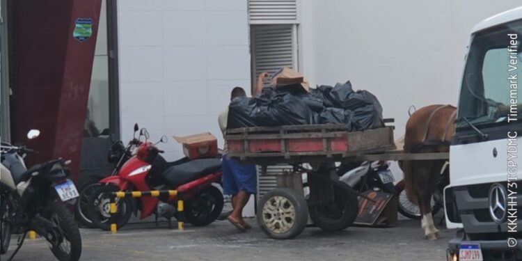 SESP multa empresa por descarte irregular