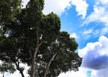 Final de semana com até 30°, diz previsão do tempo