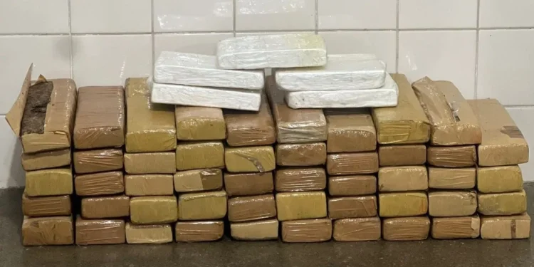 Operação Carnaval 2026 já apreendeu seis armas e 100 kg de drogas nas estradas da Bahia