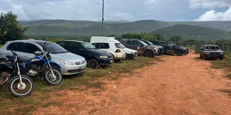 Cinco homens morrem e dez são presos em operação na Bahia; bunkers com três toneladas de maconha são encontrados