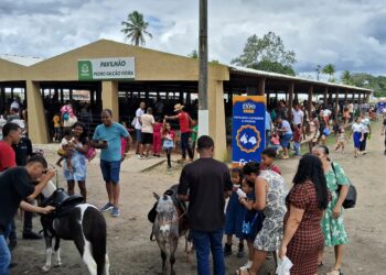 Prefeitura de Feira cria Comissão Organizadora para a Expofeira 2026