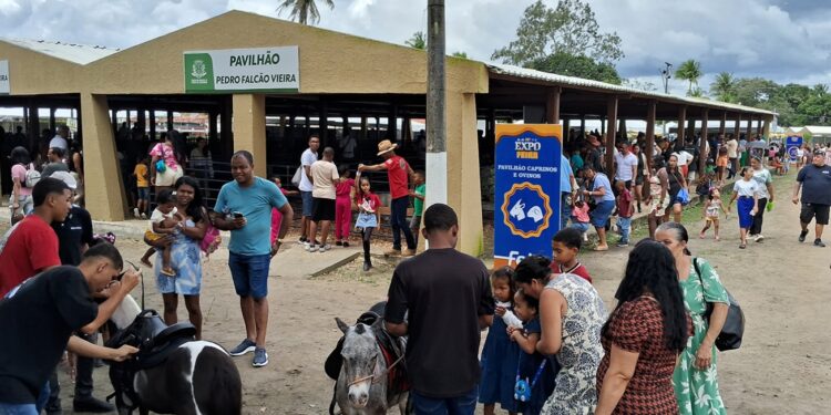 Prefeitura de Feira cria Comissão Organizadora para a Expofeira 2026