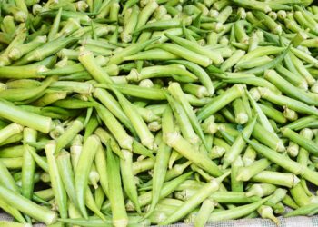 Procon alerta para diferença de até 312,41% nos preços de produtos da Semana Santa entre supermercados