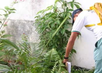 Prefeitura convoca agentes de combate às endemias aprovados em concurso público