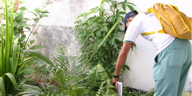 Prefeitura convoca agentes de combate às endemias aprovados em concurso público