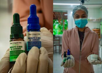 Justiça autoriza que associação plante, transporte e produza óleo de cannabis para fins medicinais na Bahia