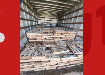 Nove toneladas de peixe são apreendidas em caminhão na Bahia