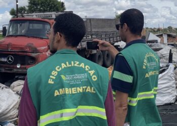 Queima clandestina de pneus em área protegida é alvo de operação em Feira de Santana