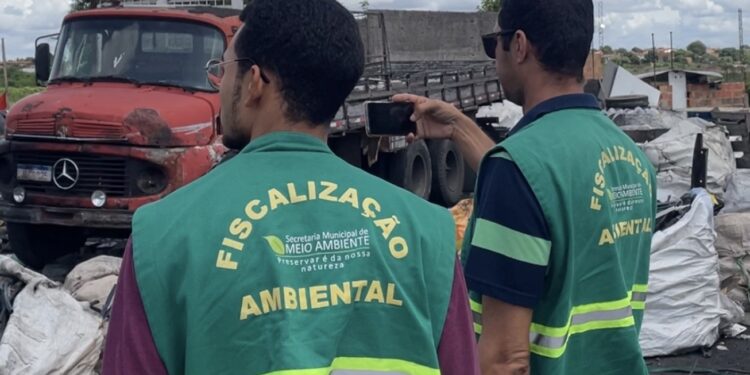 Queima clandestina de pneus em área protegida é alvo de operação em Feira de Santana