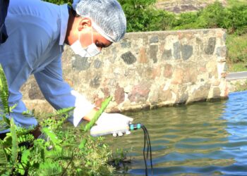 Rascunho automático