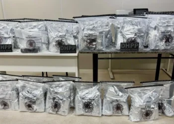 Polícia Civil apreende 80 kg de cocaína durante operação na BR-116