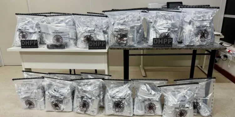 Polícia Civil apreende 80 kg de cocaína durante operação na BR-116