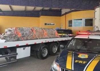 PRF apreende quase 2 toneladas de maconha em teto de caminhão frigorífico na Bahia