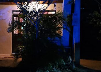 Homem é morto a golpes de facão após discussão na Bahia; sobrinho foi preso em flagrante