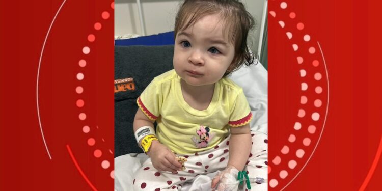 Criança com doença rara no interior da Bahia é selecionada para terapia gênica experimental nos EUA