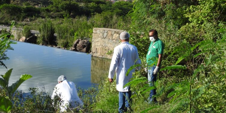 Análise não identifica causa da mortandade de peixes na Barragem de Jaguara