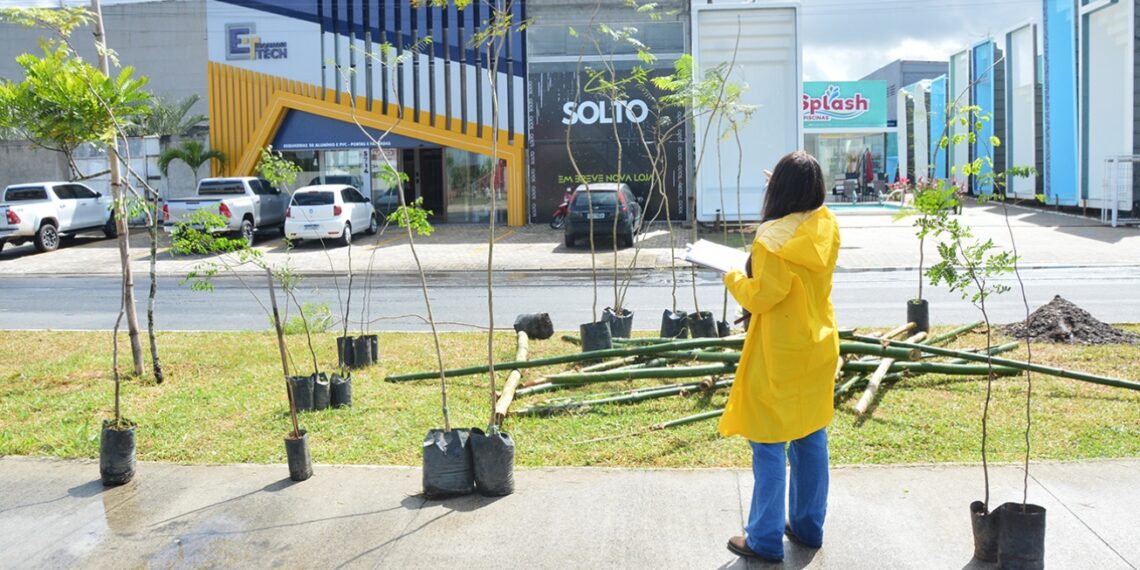 Prefeitura inicia plantio de 300 mudas na Noide Cerqueira e lança projeto Feira Verde
