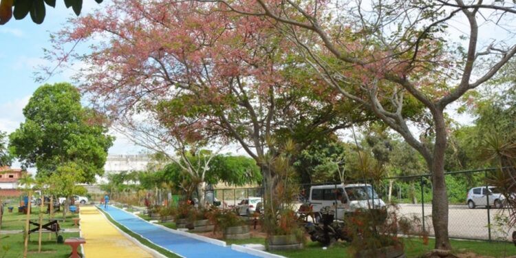 Empresa é autorizada a suprimir vegetação, mas terá que doar 70 mudas à Semmam