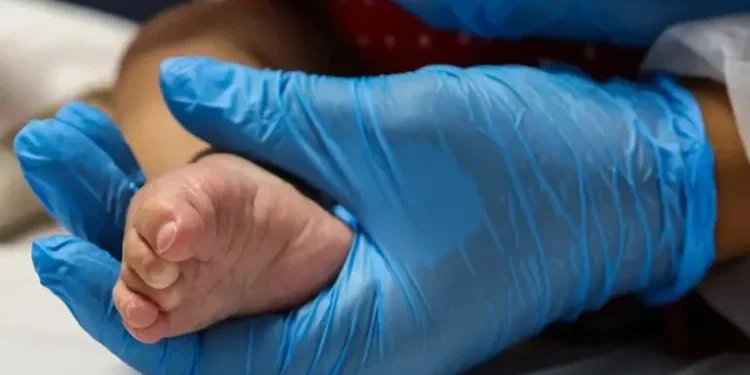 Feira terá semana de conscientização sobre doenças raras; lei foi sancionada