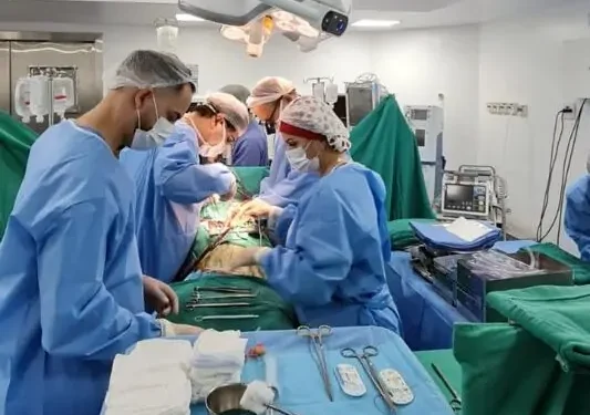 Bahia bate recorde em transplantes, mas desinformação ainda limita doação de órgãos