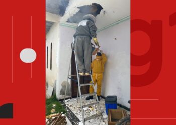 Idosa fica em estado grave após ataque de abelhas na Bahia; outras duas pessoas também foram picadas