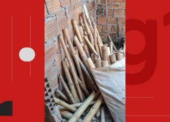 Fábrica clandestina de espadas é desarticulada e 150 kg de pólvora são apreendidos no interior da Bahia