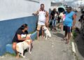 Feira inicia campanha de vacinação antirrábica neste sábado (25) com mobilização em oito bairros