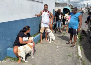 Feira inicia campanha de vacinação antirrábica neste sábado (25) com mobilização em oito bairros