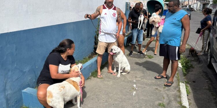 Feira inicia campanha de vacinação antirrábica neste sábado (25) com mobilização em oito bairros
