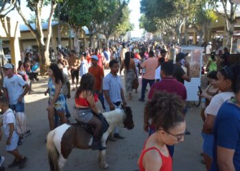 47ª Expofeira está sendo organizada para superar edição anterior, diz Silvaney Araújo