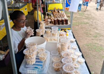 Publicado edital de credenciamento para comerciantes da 47ª Expofeira