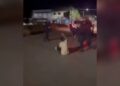 Jovem tem traumatismo craniano após receber ‘mata-leão’ e golpes de cassetetes em abordagem na Bahia