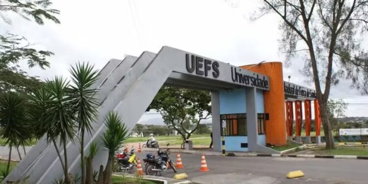 Uefs abre 200 vagas para curso gratuito de programação em Python; veja como participar