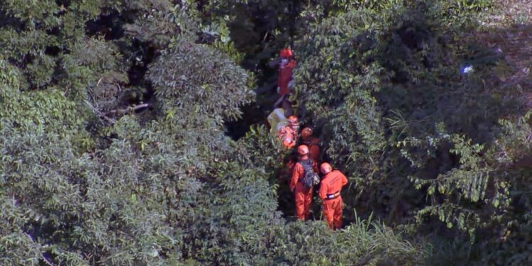 Quatro morrem em queda de helicóptero perto da Vista Chinesa, na Zona Sul do Rio