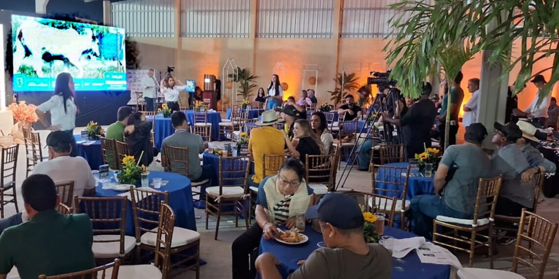 Leilões durante a Expofeira serão realizados nos dias 8 e 11 de setembro