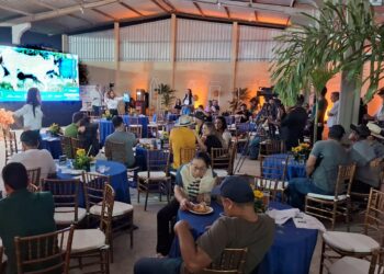 Leilões durante a Expofeira serão realizados nos dias 8 e 11 de setembro
