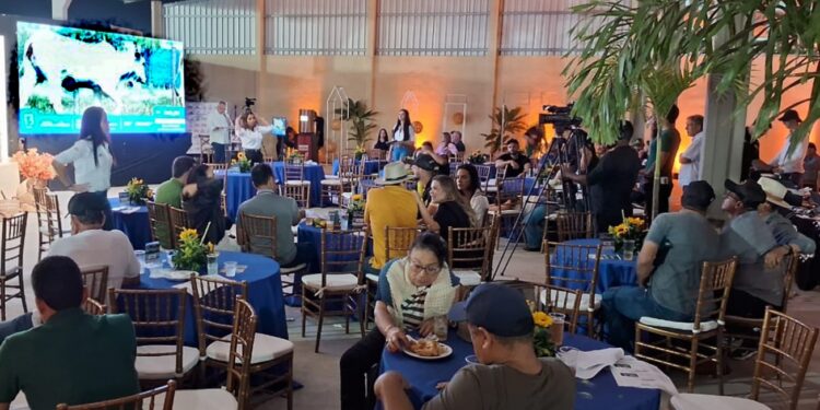 Leilões durante a Expofeira serão realizados nos dias 8 e 11 de setembro