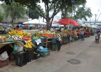 Prefeitura abre licitação para fornecimento de barracas padronizadas para feiras livres