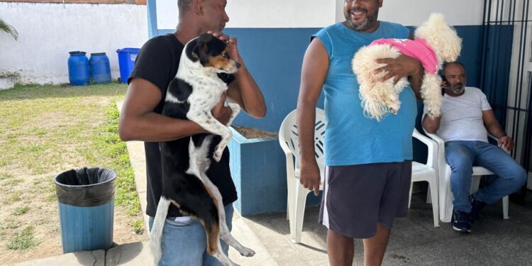 Feira de Santana promove mais um sábado de vacinação contra a raiva em cães e gatos