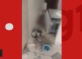 Crianças são encontradas sozinhas em casa na Bahia; uma estava debaixo de fogão
