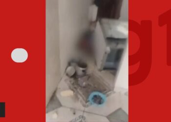 Crianças são encontradas sozinhas em casa na Bahia; uma estava debaixo de fogão