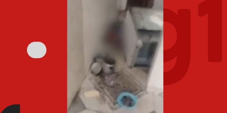 Crianças são encontradas sozinhas em casa na Bahia; uma estava debaixo de fogão