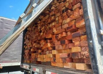 PRF apreende mais de 70 m³ de madeira nativa transportada com documentação incompatível na BR-235