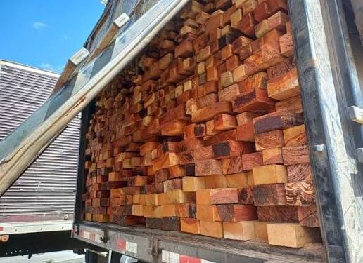 PRF apreende mais de 70 m³ de madeira nativa transportada com documentação incompatível na BR-235