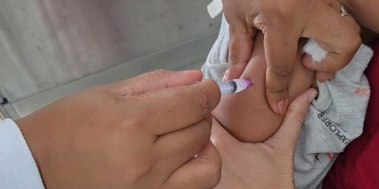 Campanha Nacional de Multivacinação começa nesta segunda; foco é atualizar imunização de crianças e adolescentes