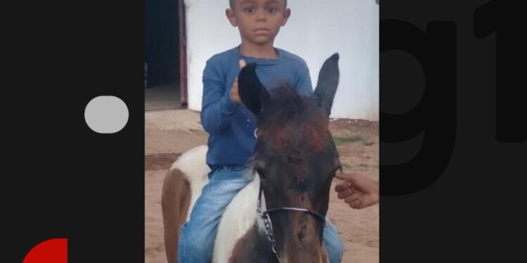 Menino de 8 anos morre afogado em piscina de fazenda no interior da Bahia